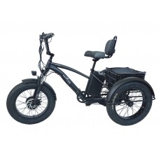 Электровелосипед фэтбайк стальной трехколесный 20" 750w 48V18AH